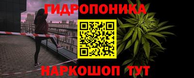 винт Донецк