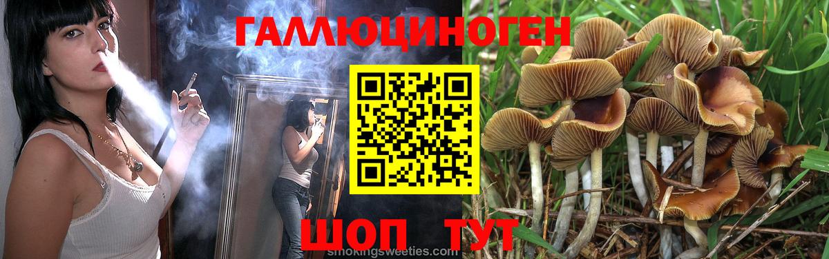 как найти   Псилоцибиновые грибы Psilocybine cubensis  Вход с VPN  Муром 