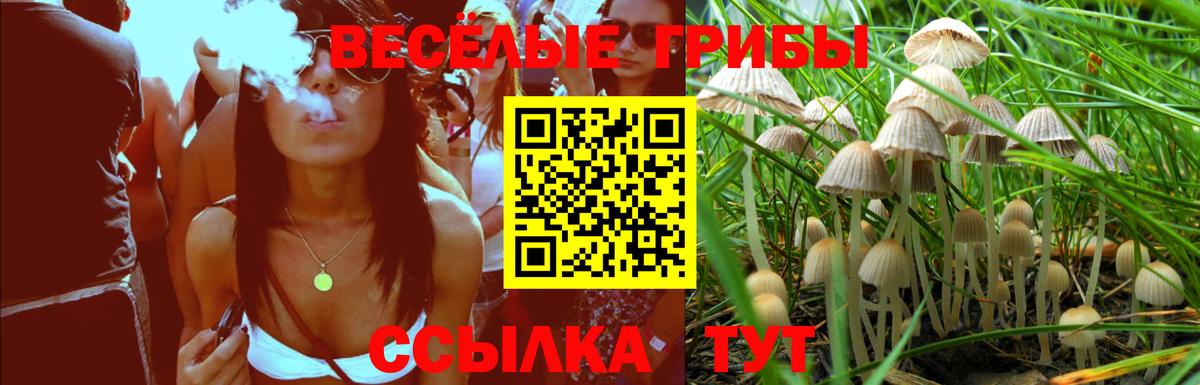 Галлюциногенные грибы ЛСД Муром